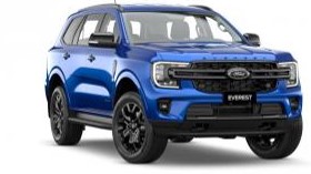 everest platinum
